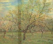 Vincent Van Gogh The White Orchard (nn04) oil painting reproduction